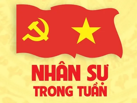 Nhân sự trong tuần: Bổ nhiệm nhiều nhân sự thuộc Chính phủ