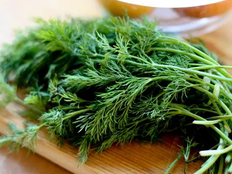 Ăn rau thì là đúng cách có thể mang lại nhiều lợi ích cho cơ thể