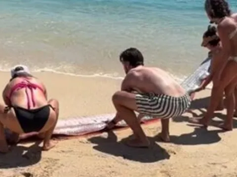 Đang dạo biển, người dân phát hiện cảnh tượng "bí ẩn" ập đến bất ngờ