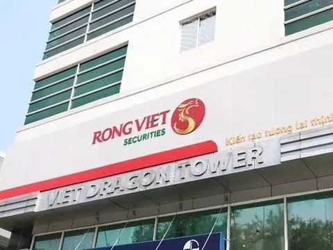 Nhóm Kido Foods – Nutifood đầu tư gần 600 tỷ vào Chứng khoán Rồng Việt