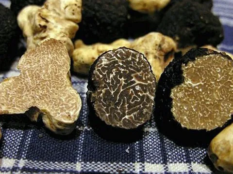 Thứ bị coi là đồ bỏ đi bỗng hóa “kho báu”, giá ngất ngưởng hơn 3 tỷ đồng