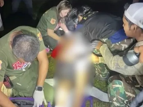 Ra sau nhà đi vệ sinh, người đàn ông bị thứ đáng sợ giẫm tử vong