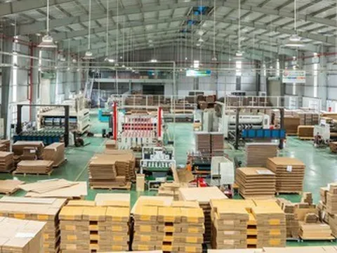 Công ty Công nghệ Bao bì Giấy Tiến Phát: Khẳng Định Vị Thế Dẫn Đầu Ngành In Ấn Carton Tại Việt Nam