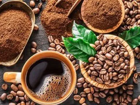 Khói sương trong tách, thi ca dưới phèn