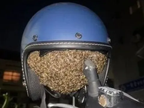 Treo mũ bảo hiểm qua đêm, người phụ nữ sốc nặng khi thấy cảnh tượng "nổi da gà"