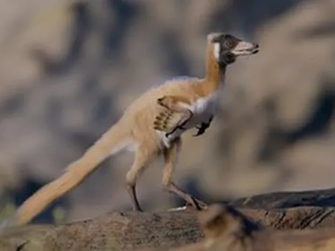 Loài khủng long “mini” chỉ dưới 1kg vừa được phát hiện, ngoại hình khiến nhiều người ngỡ ngàng