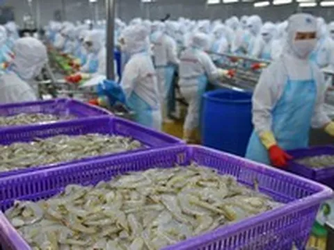 Từng được kỳ vọng lãi gấp đôi 'sau 1 đêm', đại gia tôm Việt Nam 'nhịn' lãi, quyết không hoàn nhập dự phòng giữa đòn bão thuế của Mỹ