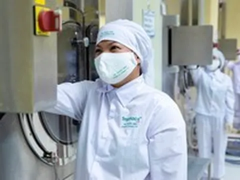 Traphaco đặt kế hoạch 306 tỷ lợi nhuận sau thuế trong năm 2026, tăng 10%