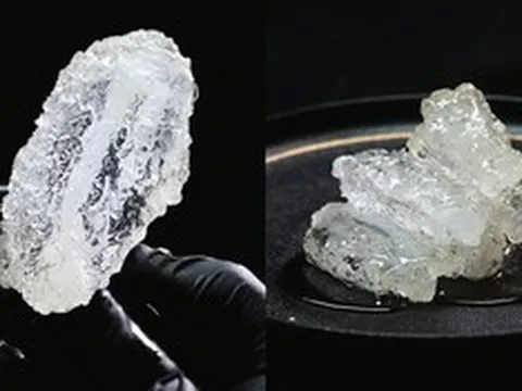 "Sốc" thị giác: Gà rán trong suốt lộ diện, nhìn như đồ trang trí nhưng lại ăn được