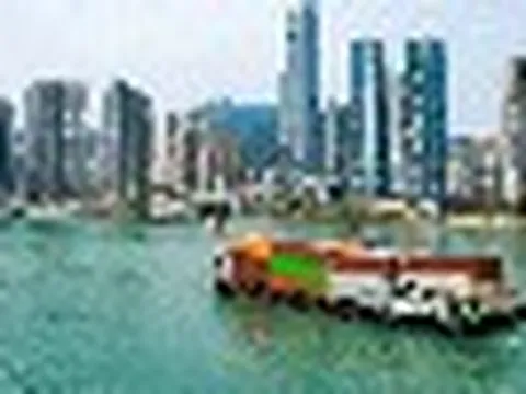Việt Nam vừa đón tin vui từ Brazil