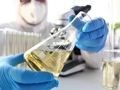 Sau nhiều năm, Nga tìm ra công thức để đuổi kịp châu Âu, biến thứ bỏ đi thành món hàng "đắt như tôm tươi"
