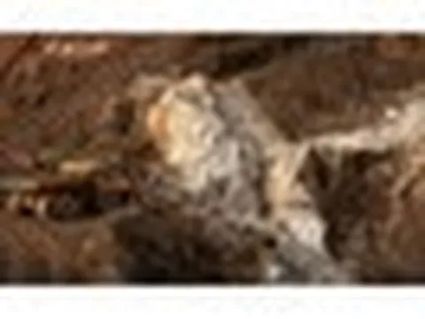 Các công ty đất hiếm ngoài Trung Quốc cứ mọc lên rồi phá sản - đây là 'đòn đánh' Bắc Kinh dùng suốt nhiều thập kỷ, Mỹ cũng phải 'bó tay'