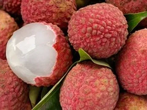 Lời khuyên cho những người thích ăn vải