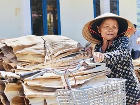 Biến “rác vườn” thành sản phẩm xuất ngoại, người dân Quảng Ngãi kiếm tiền triệu từ mo cau