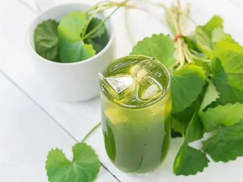 Những người không nên uống nước rau má kẻo "rước hoạ vào thân"