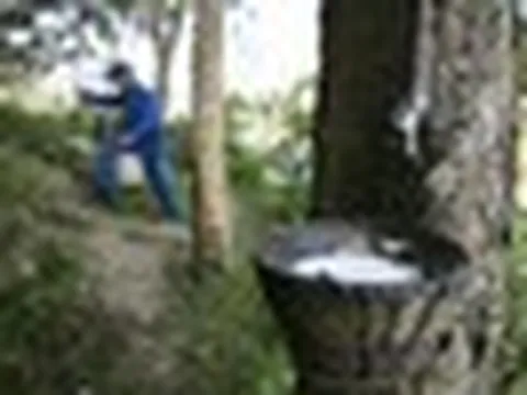 Một nguyên liệu thiết yếu cho ngành ô tô bất ngờ tăng giá mạnh nhất 8 năm: Việt Nam đứng thứ 3 thế giới về sản lượng nhưng chưa phải quốc gia hưởng lợi nhất
