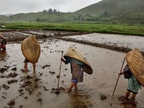 Bí ẩn ngôi làng mưa nhiều nhất thế giới: Cả năm không khô nổi một ngày