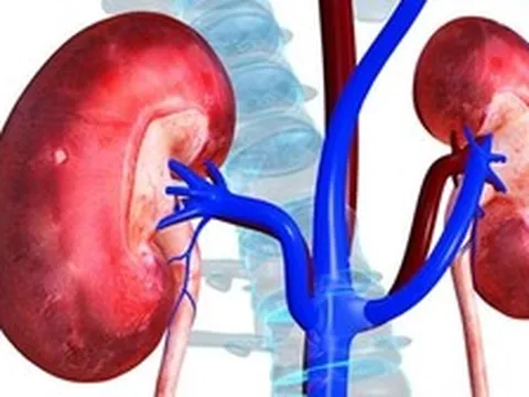 Bác sĩ tiết niệu cảnh báo: Nhiều quả thận bị hỏng “oan uổng” chỉ vì những sai lầm rất phổ biến