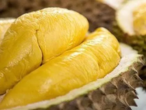 Dân tình phát sốt vì "sầu riêng"vào mùa: Ăn thường xuyên, cơ thể có thể gặp loạt biến đổi bất ngờ