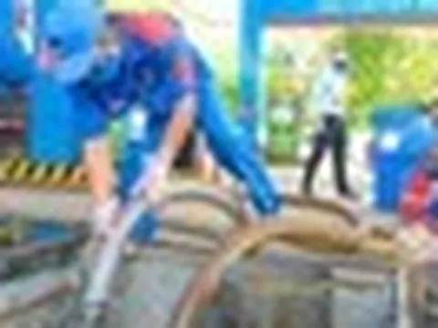 Xăng sinh học E10 tại Việt Nam được phối trộn và kiểm định như thế nào?