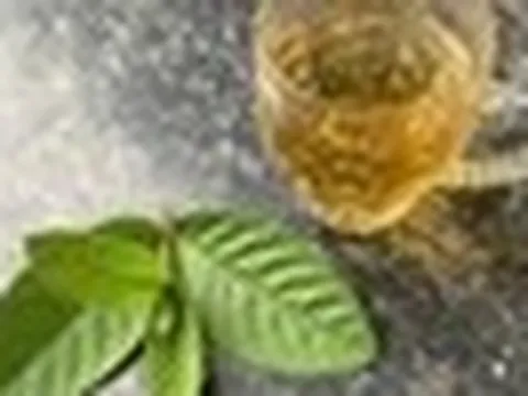 Cơ thể thay đổi thế nào nếu uống lá ổi liên tục vài tuần?