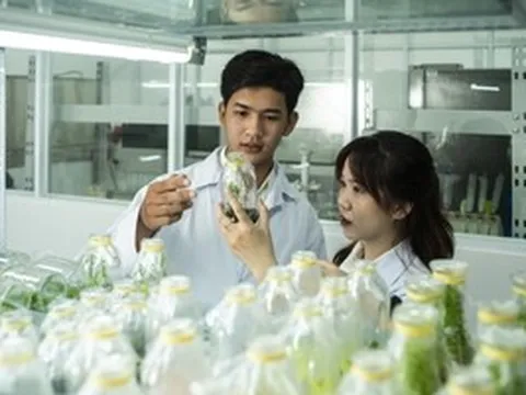 Trường ĐH Văn Lang công bố học bổng "khủng" lên đến 800 triệu đồng/suất