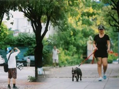 Hà Nội sáng nay thật lạ: Giữa tháng 6 mà se lạnh như mùa thu, người dân tận hưởng cảm giác 12 năm mới xuất hiện