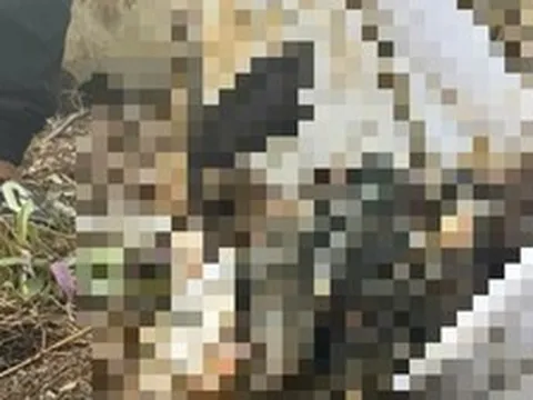 Phát hiện thi thể thiếu niên tại Bệnh viện Đa khoa Bà Rịa