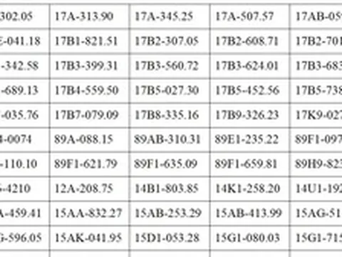 Tất cả chủ phương tiện vi phạm mang biển số sau nhanh chóng nộp phạt nguội theo Nghị định 168