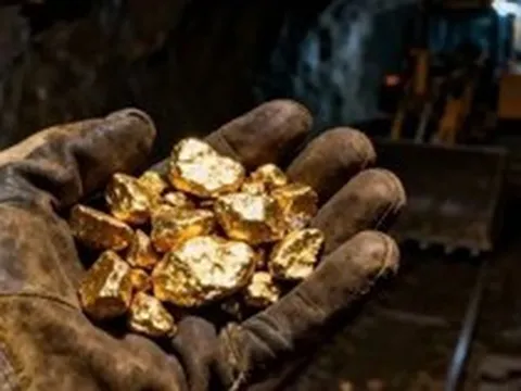 Đại gia đào vàng lớn nhất Việt Nam sắp trả cổ tức tỷ lệ 90,5%
