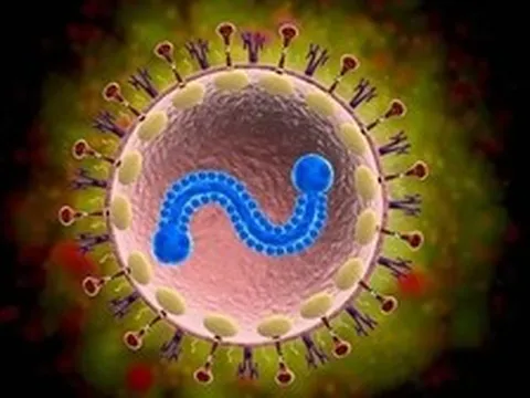 Bác sĩ Bạch Mai cảnh báo: 1 loại virus nhiều người tưởng chỉ trẻ em mới mắc, người già nhiễm dễ viêm phổi, suy hô hấp