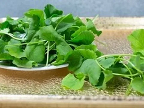Chống nắng nội sinh tự nhiên: Đây là bát canh nấu cực dễ, ăn vào da mát rượi không sợ bắt nắng, mụn bọc lặn thin thít