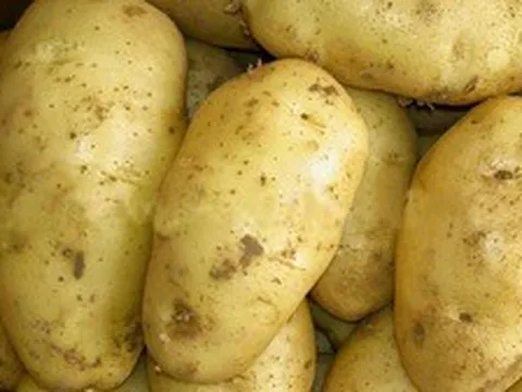 Cô hàng xóm của tôi đã giảm 6kg trong 2 tháng nhờ ăn khoai tây vào bữa sáng
