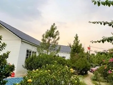 Nam nghệ sĩ Việt sở hữu nhà vườn rộng 1.000m²: Nhìn đâu cũng thấy hoa, góc nào cũng chill như tranh vẽ