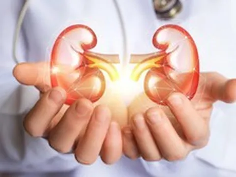 Người có hai quả thận khỏe thường có 8 thói quen này: Làm đủ thì xin chúc mừng!