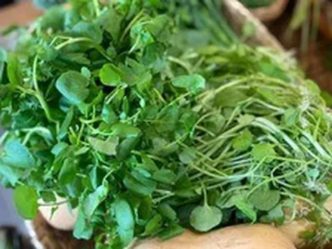 Việt Nam có 3 loại rau "đại bổ": Loại thứ nhất gây bất ngờ vì có nhiều omega-3