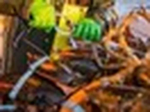 Việt Nam vừa đón tin cực vui từ Trung Quốc