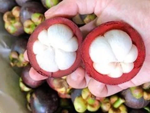 Măng cụt được ví là "nữ hoàng trái cây": Nhiều lợi ích nhưng có 5 nhóm người nên hạn chế ăn