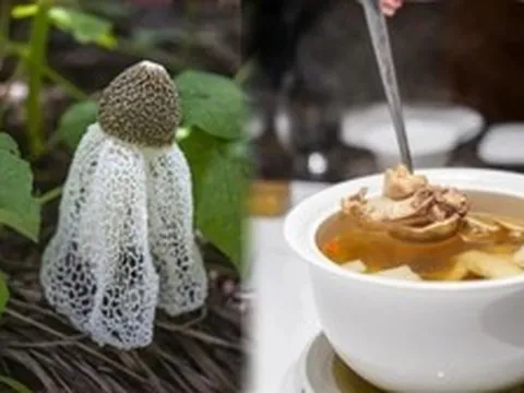 Thực phẩm chứa kali gấp 42 lần chuối, hấp hay luộc đều ngon: Nên ăn nhiều vào tháng 7 để hỗ trợ tiêu hóa, bảo vệ gan, giảm mệt mỏi, tăng miễn dịch