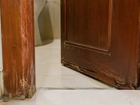 Vì sao ngày càng nhiều gia đình không còn làm cửa nhà vệ sinh bằng gỗ? 2 vật liệu chịu ẩm tốt đang dần trở thành xu hướng mới
