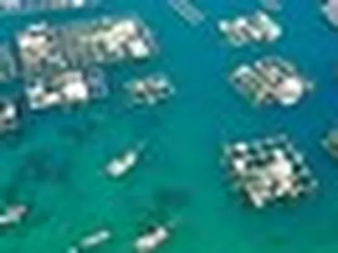 Mỹ, Trung Quốc đua nhau mua một ‘mỏ vàng' của Việt Nam: Vừa thu về hơn 2,8 tỷ USD, nước ta đứng thứ 2 thế giới