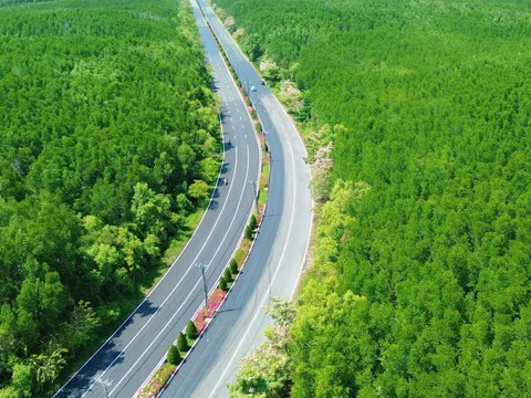 5.000 runner hội tụ tại VnExpress Marathon Green Paradise Cần Giờ 2026: Đường đua “chạm biển – xuyên rừng” độc bản lần đầu xuất hiện